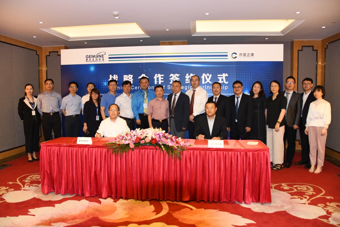 国产精品自产拍在线观看免费