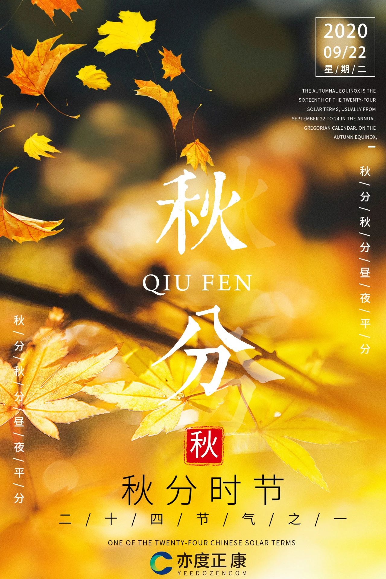 国产精品自产拍在线观看免费