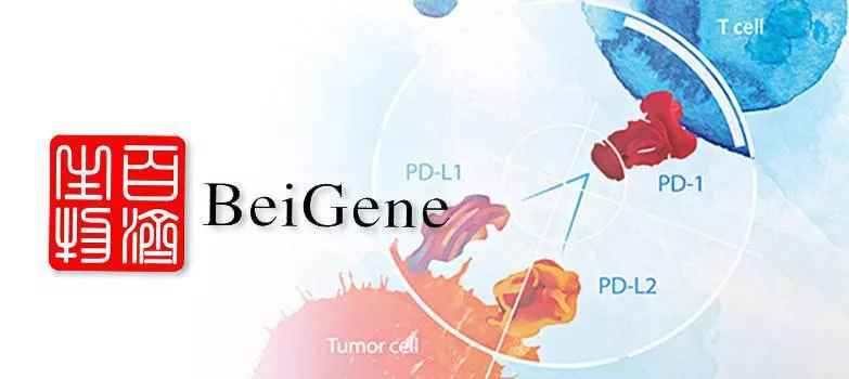 国产精品自产拍在线观看免费