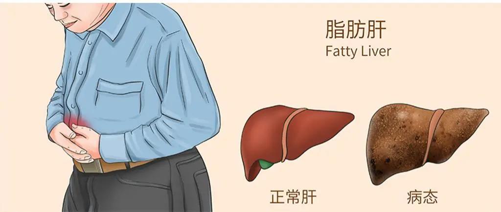 国产精品自产拍在线观看免费