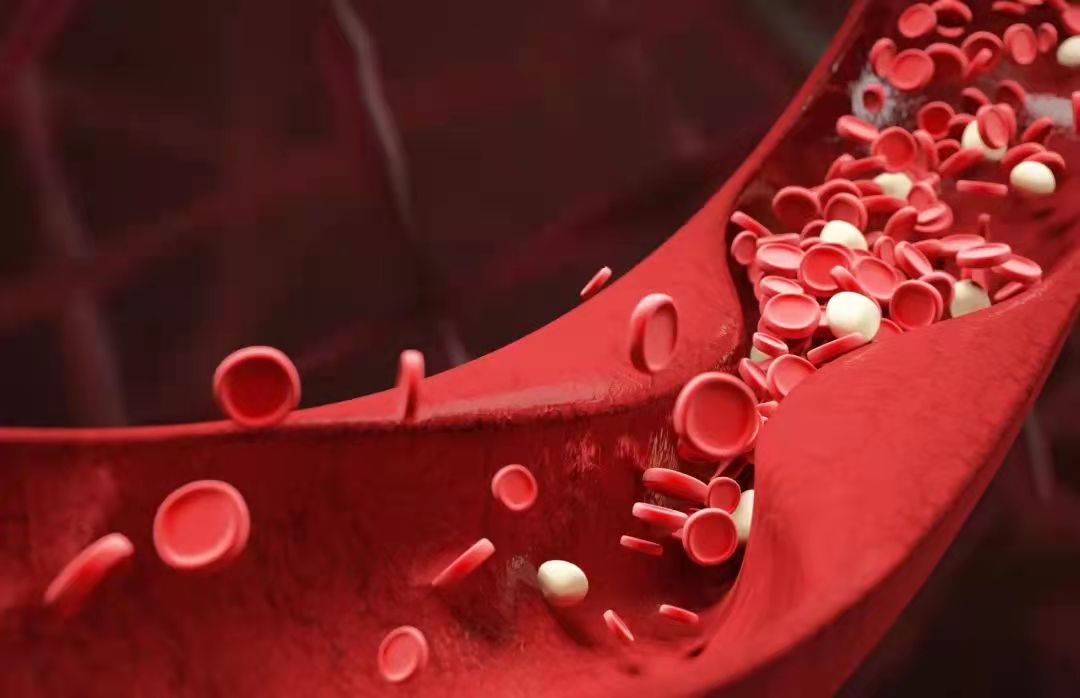 国产精品自产拍在线观看免费