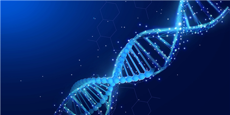 国产精品自产拍在线观看免费