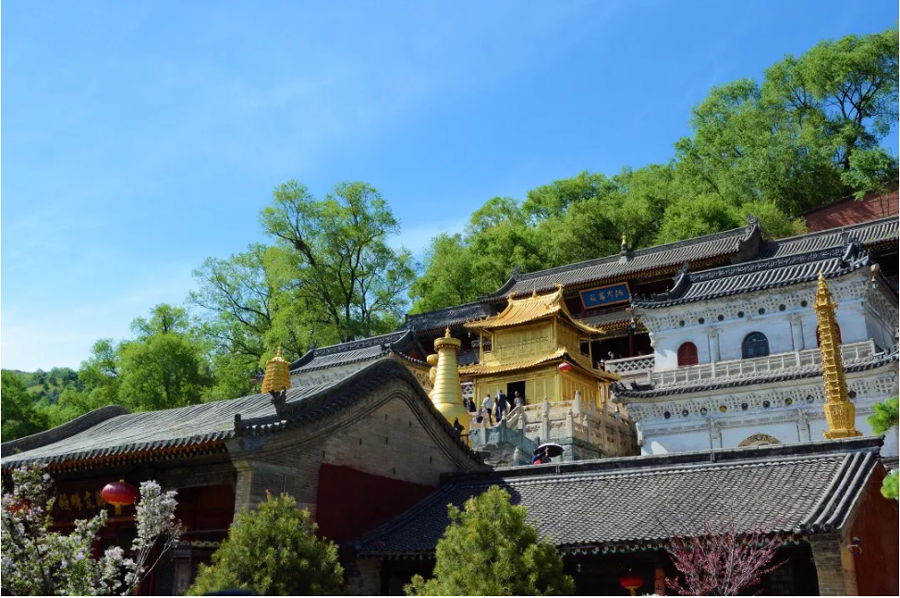 国产精品自产拍在线观看免费