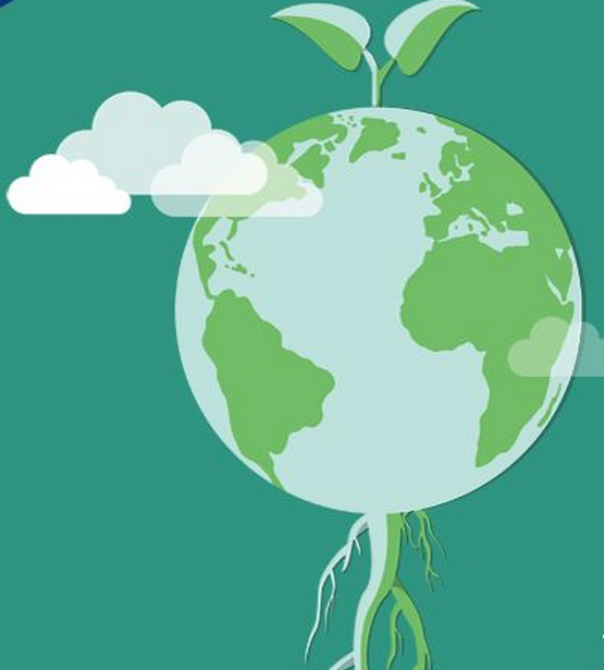 国产精品自产拍在线观看免费