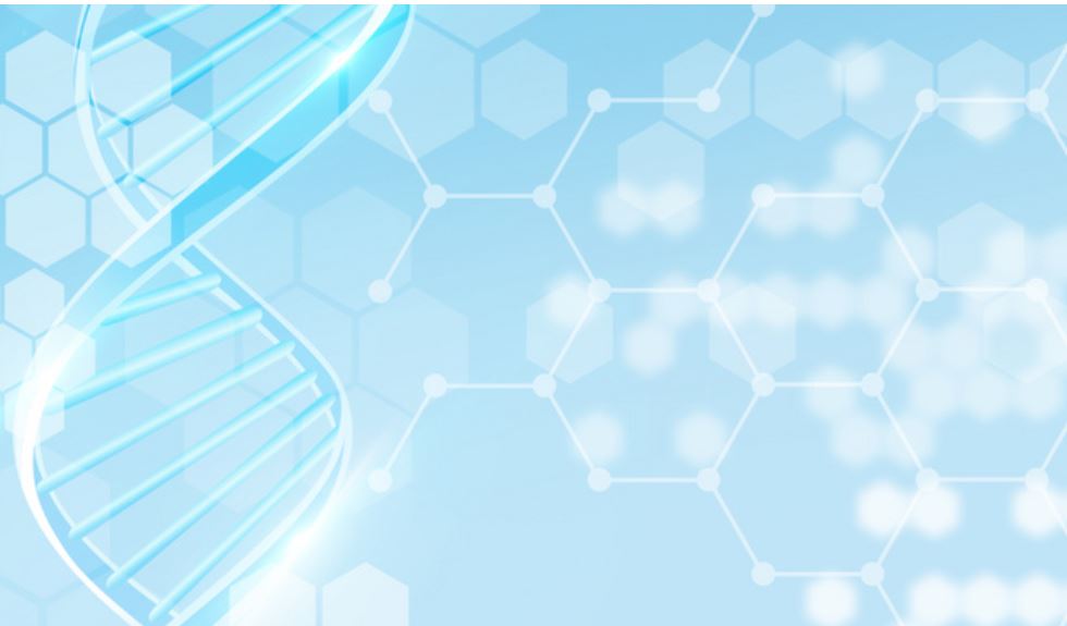 国产精品自产拍在线观看免费