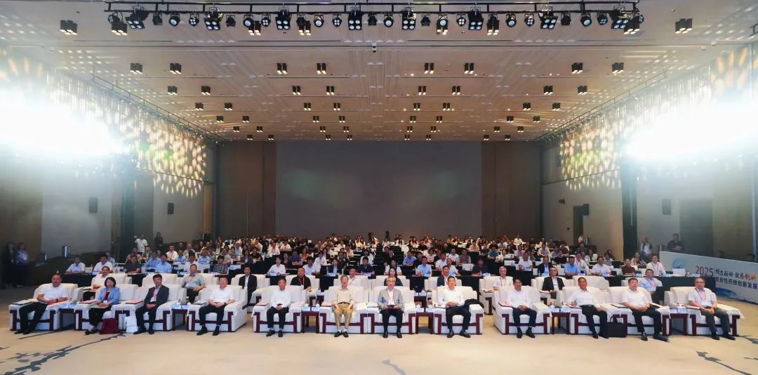 国产精品自产拍在线观看免费