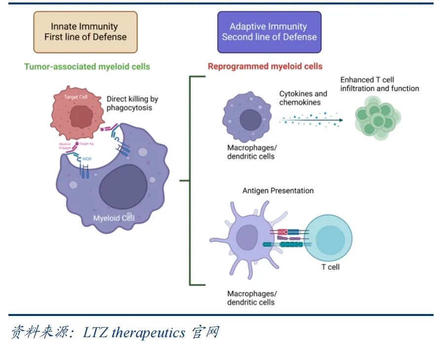 国产精品自产拍在线观看免费