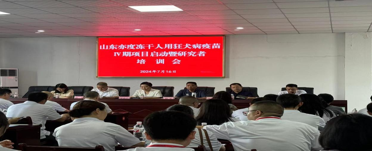 国产精品自产拍在线观看免费